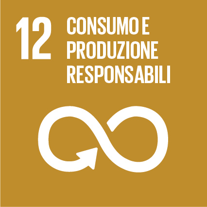 Obiettivo 12 Consumo E Produzione Responsabili