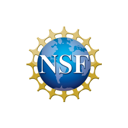 Logo NSF