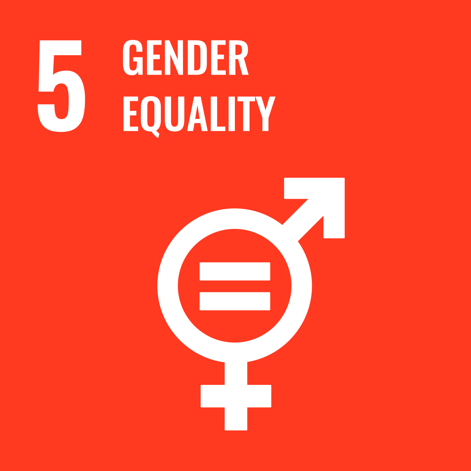 Goal 5 gender equality