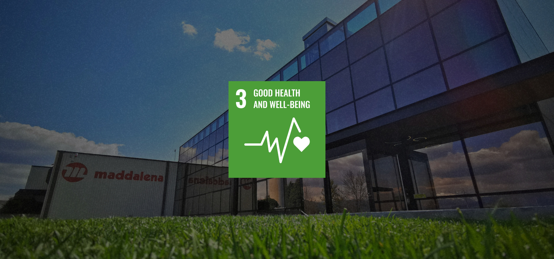 Goal 3 Good health and well-being